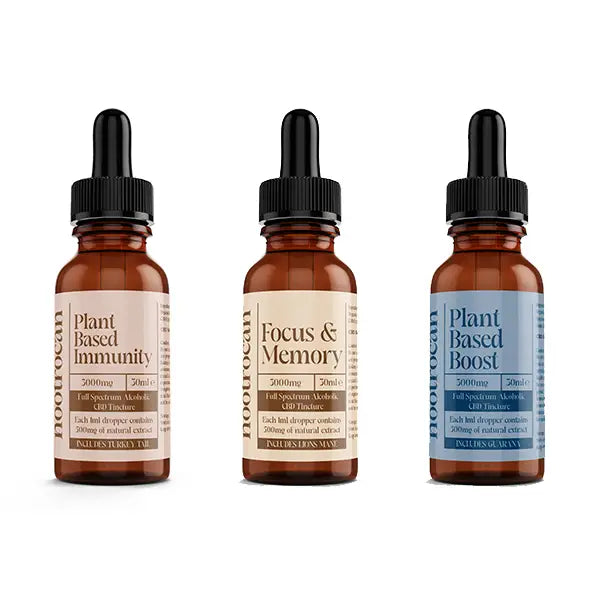 Three CBD tincture bottles for Nootrocan 3000mg 10% Full-Spectrum CBD Nootropic Tincture