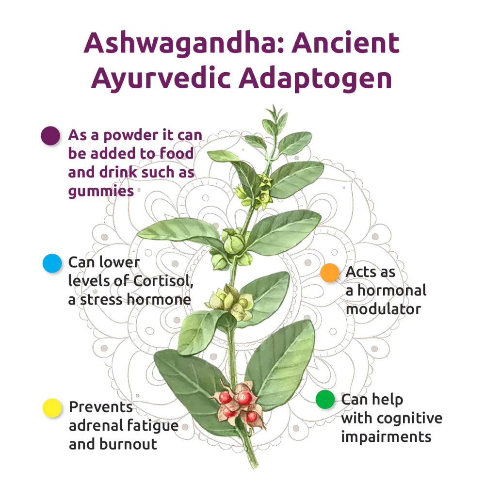 Innooova Kalma Pure Ashwaghanda Extract Gummies Full Pack - 10 Gummies - Fulfilment