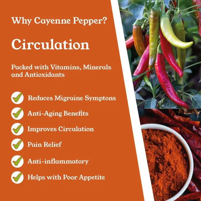 NTURE 1000mg Cayenne Pepper Capsules - 60 Caps - Nootropics & Supplements