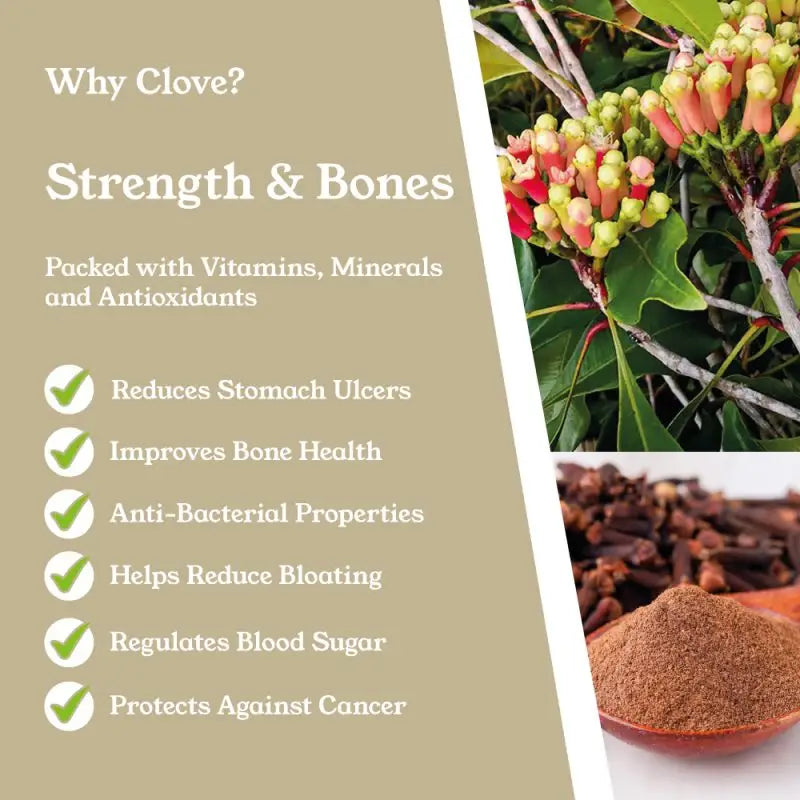 NTURE 1000mg Clove Capsules - 60 Caps - Nootropics & Supplements