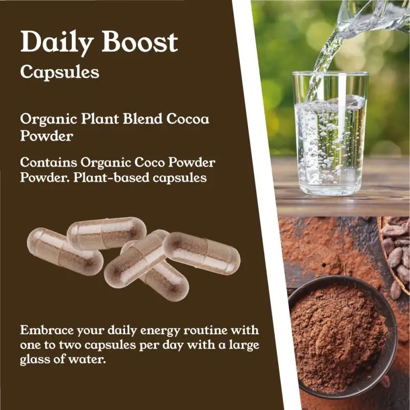 NTURE 1000mg Cocoa Capsules - 60 Caps - Nootropics & Supplements