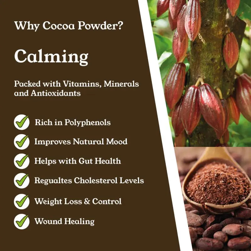 NTURE 1000mg Cocoa Capsules - 60 Caps - Nootropics & Supplements