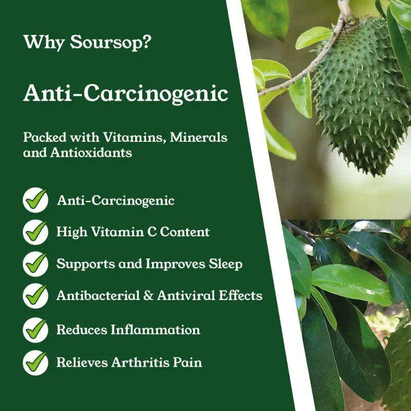 NTURE 1000mg Soursop Capsules - 60 Caps - Nootropics & Supplements