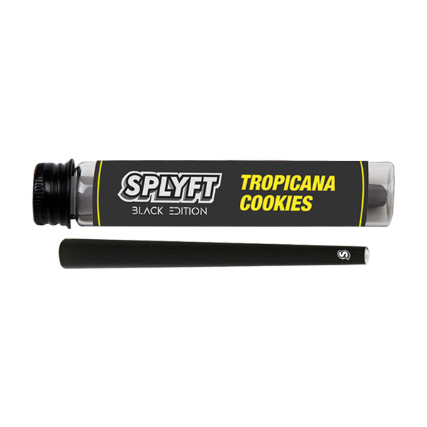 SPLYFT Black Edition Cannabis Terpene Infused Cones – Tropicana Cookie